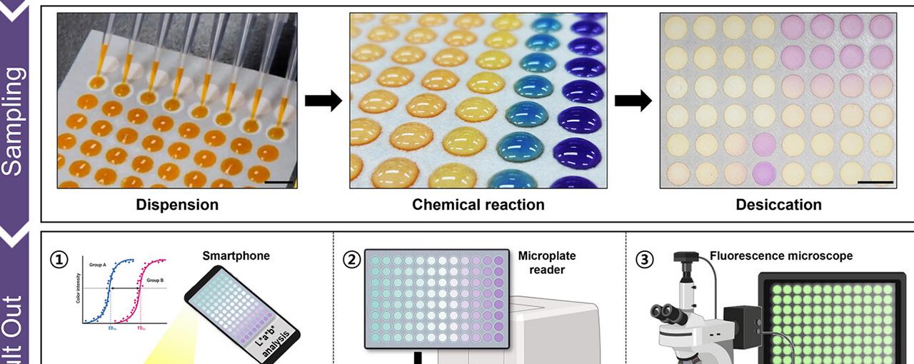 논문 관련 내용